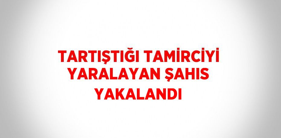 TARTIŞTIĞI TAMİRCİYİ YARALAYAN ŞAHIS YAKALANDI