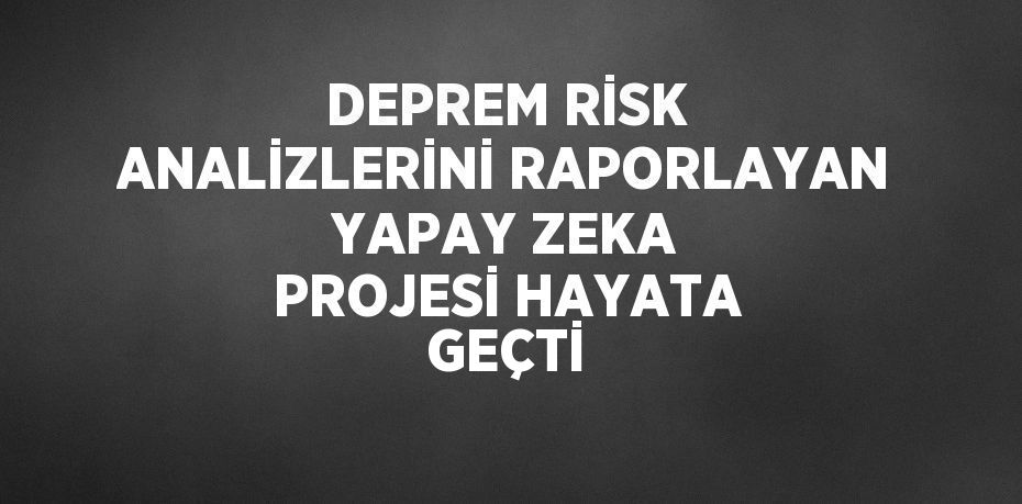 DEPREM RİSK ANALİZLERİNİ RAPORLAYAN YAPAY ZEKA PROJESİ HAYATA GEÇTİ