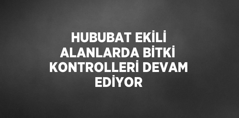 HUBUBAT EKİLİ ALANLARDA BİTKİ KONTROLLERİ DEVAM EDİYOR