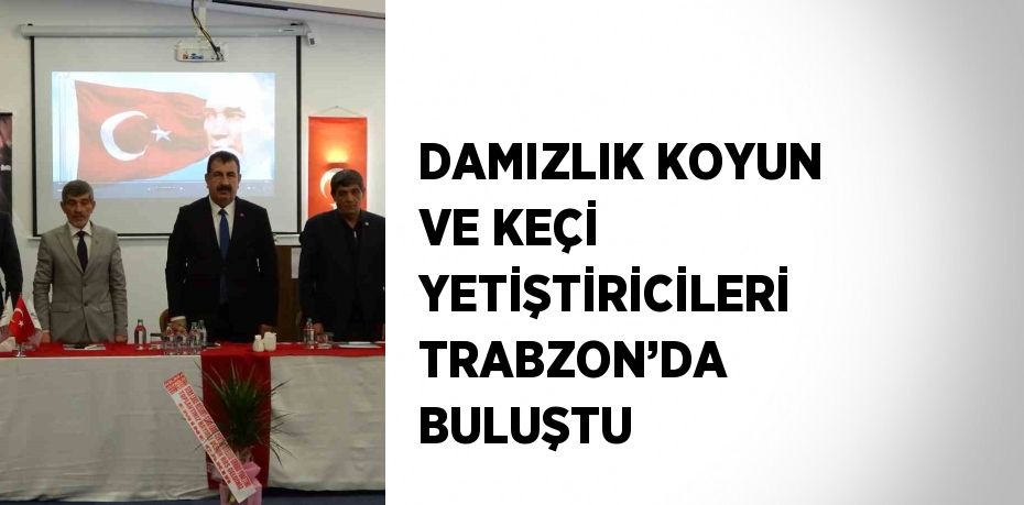 DAMIZLIK KOYUN VE KEÇİ YETİŞTİRİCİLERİ TRABZON’DA BULUŞTU
