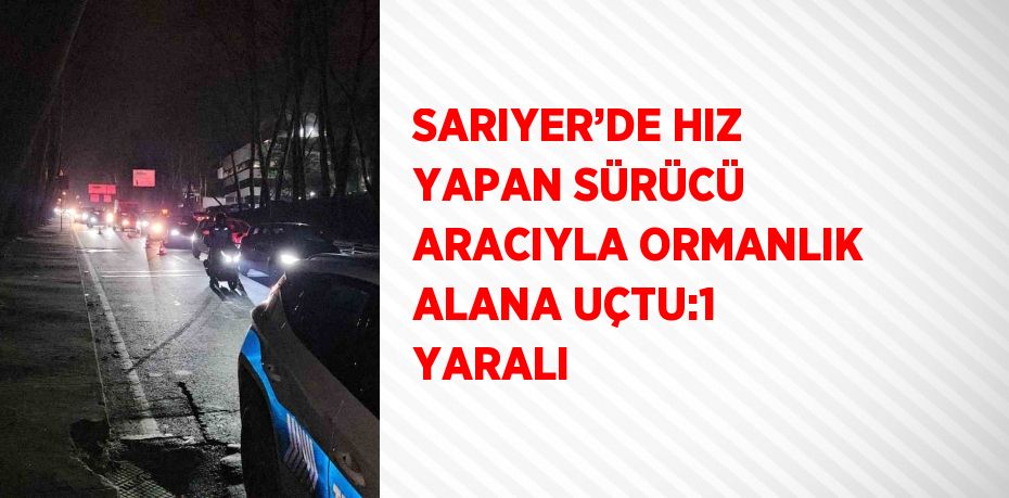 SARIYER’DE HIZ YAPAN SÜRÜCÜ ARACIYLA ORMANLIK ALANA UÇTU:1 YARALI