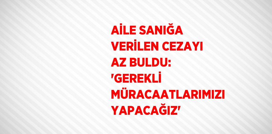 AİLE SANIĞA VERİLEN CEZAYI AZ BULDU: 'GEREKLİ MÜRACAATLARIMIZI YAPACAĞIZ'