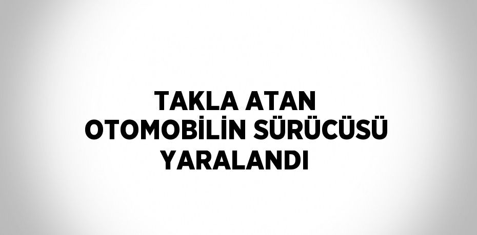 TAKLA ATAN OTOMOBİLİN SÜRÜCÜSÜ YARALANDI