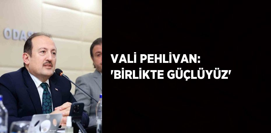 VALİ PEHLİVAN: 'BİRLİKTE GÜÇLÜYÜZ'