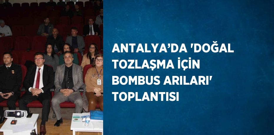 ANTALYA’DA 'DOĞAL TOZLAŞMA İÇİN BOMBUS ARILARI' TOPLANTISI