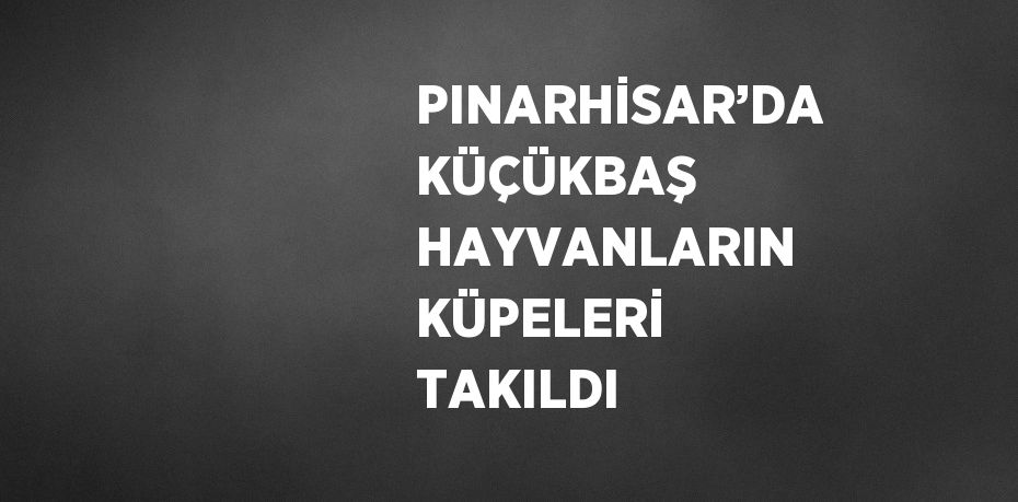 PINARHİSAR’DA KÜÇÜKBAŞ HAYVANLARIN KÜPELERİ TAKILDI