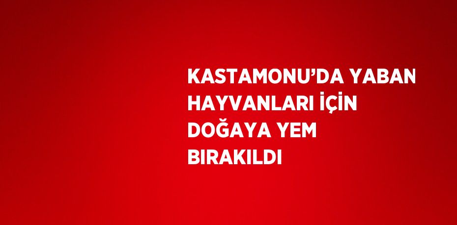 KASTAMONU’DA YABAN HAYVANLARI İÇİN DOĞAYA YEM BIRAKILDI