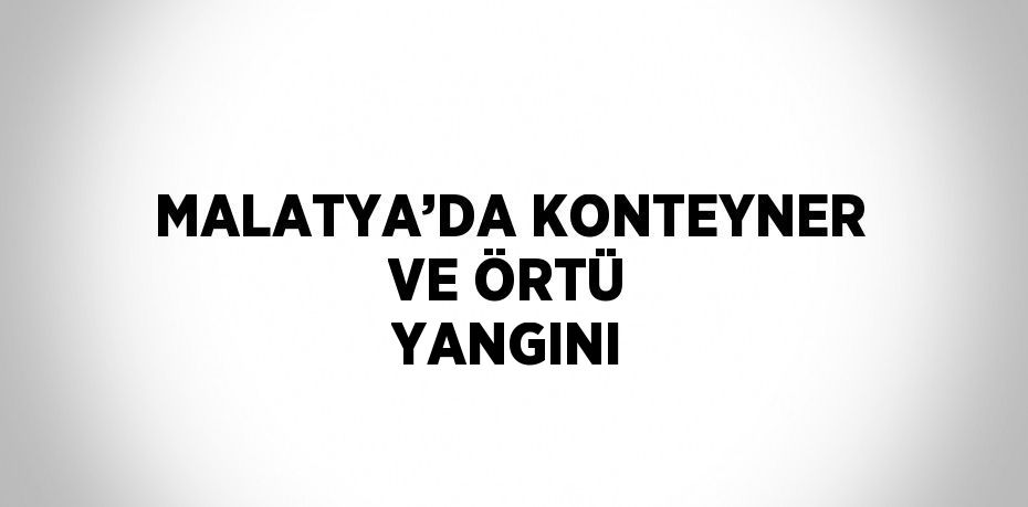 MALATYA’DA KONTEYNER VE ÖRTÜ YANGINI