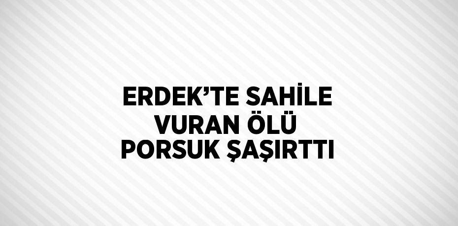 ERDEK’TE SAHİLE VURAN ÖLÜ PORSUK ŞAŞIRTTI