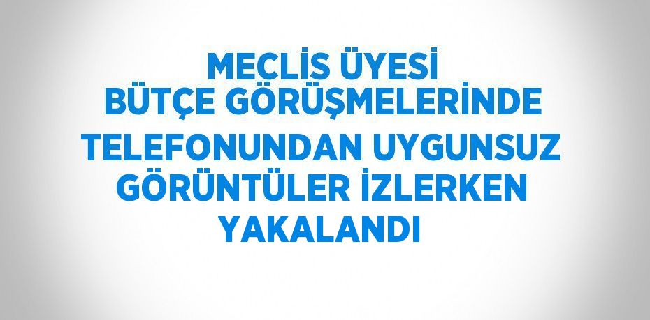 MECLİS ÜYESİ BÜTÇE GÖRÜŞMELERİNDE TELEFONUNDAN UYGUNSUZ GÖRÜNTÜLER İZLERKEN YAKALANDI