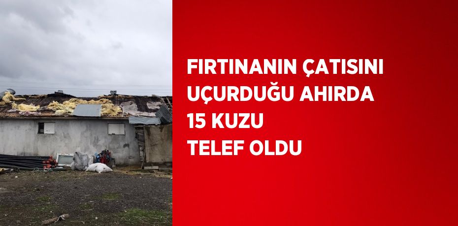 FIRTINANIN ÇATISINI UÇURDUĞU AHIRDA 15 KUZU TELEF OLDU