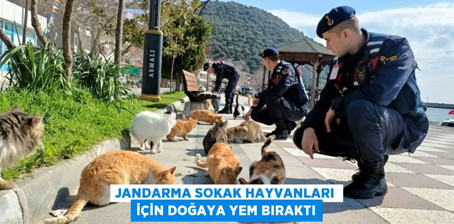 JANDARMA SOKAK HAYVANLARI İÇİN DOĞAYA YEM BIRAKTI