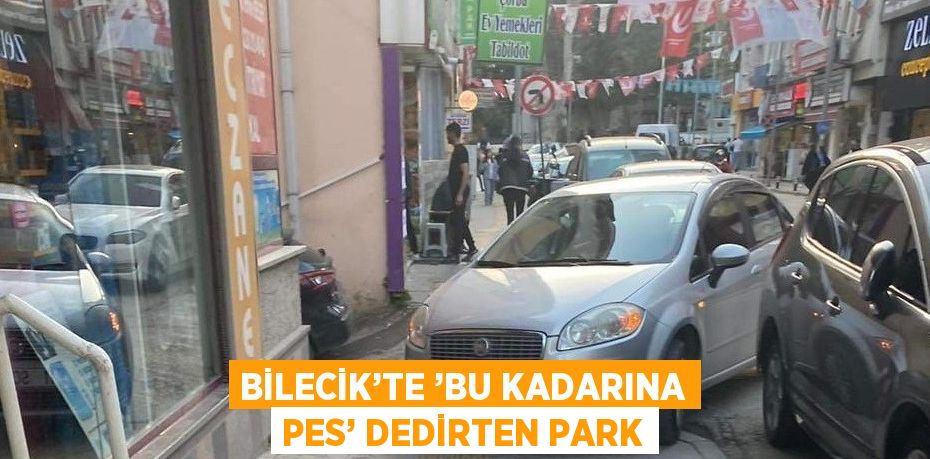 BİLECİK’TE ’BU KADARINA PES’ DEDİRTEN PARK