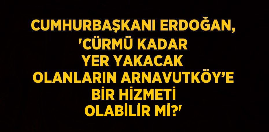 CUMHURBAŞKANI ERDOĞAN, 'CÜRMÜ KADAR YER YAKACAK OLANLARIN ARNAVUTKÖY’E BİR HİZMETİ OLABİLİR Mİ?'