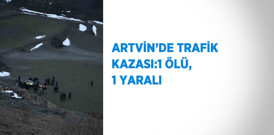 ARTVİN’DE TRAFİK KAZASI:1 ÖLÜ, 1 YARALI