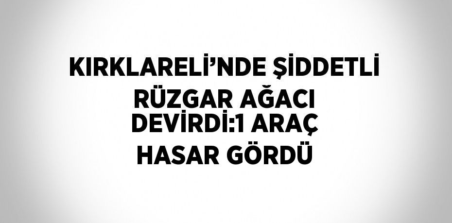 KIRKLARELİ’NDE ŞİDDETLİ RÜZGAR AĞACI DEVİRDİ:1 ARAÇ HASAR GÖRDÜ