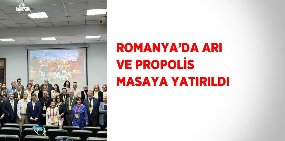 ROMANYA’DA ARI VE PROPOLİS MASAYA YATIRILDI