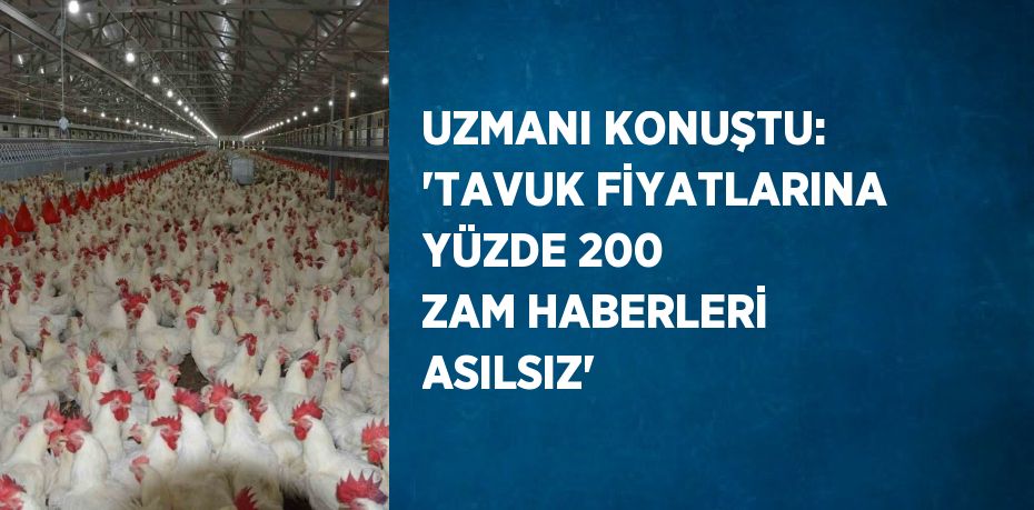 UZMANI KONUŞTU: 'TAVUK FİYATLARINA YÜZDE 200 ZAM HABERLERİ ASILSIZ'