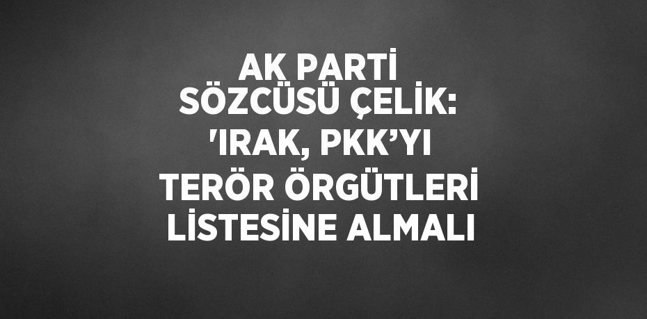 AK PARTİ SÖZCÜSÜ ÇELİK: 'IRAK, PKK’YI TERÖR ÖRGÜTLERİ LİSTESİNE ALMALI