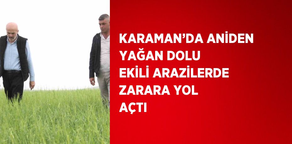 KARAMAN’DA ANİDEN YAĞAN DOLU EKİLİ ARAZİLERDE ZARARA YOL AÇTI