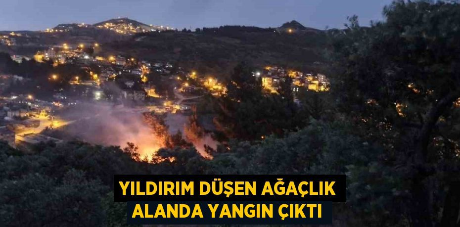 YILDIRIM DÜŞEN AĞAÇLIK ALANDA YANGIN ÇIKTI