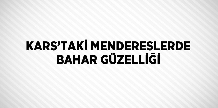 KARS’TAKİ MENDERESLERDE BAHAR GÜZELLİĞİ