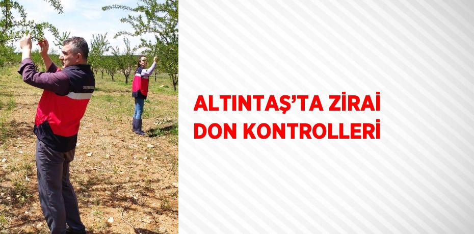 ALTINTAŞ’TA ZİRAİ DON KONTROLLERİ