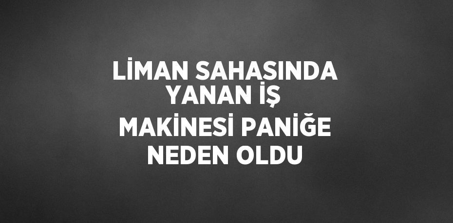 LİMAN SAHASINDA YANAN İŞ MAKİNESİ PANİĞE NEDEN OLDU