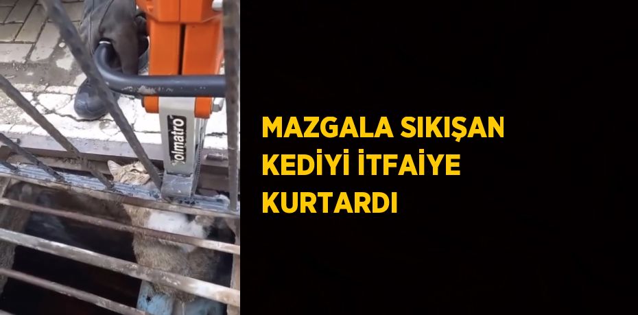 MAZGALA SIKIŞAN KEDİYİ İTFAİYE KURTARDI
