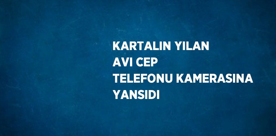 KARTALIN YILAN AVI CEP TELEFONU KAMERASINA YANSIDI