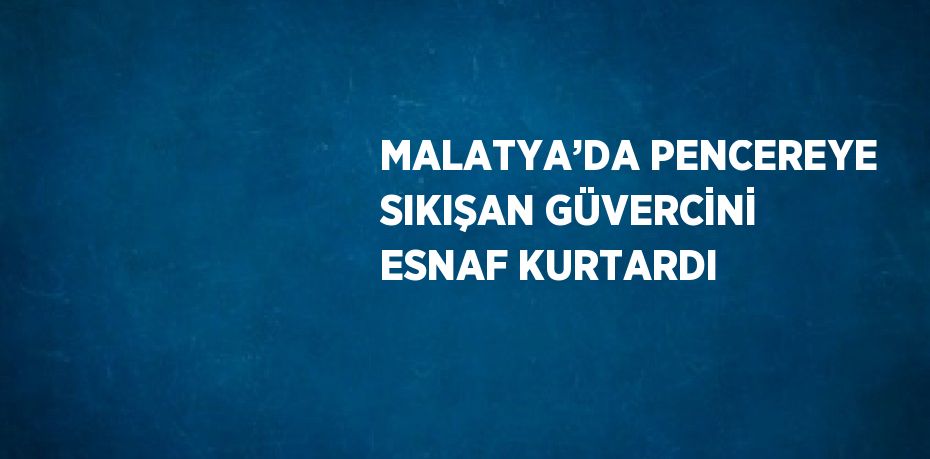 MALATYA’DA PENCEREYE SIKIŞAN GÜVERCİNİ ESNAF KURTARDI