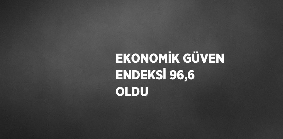 EKONOMİK GÜVEN ENDEKSİ 96,6 OLDU