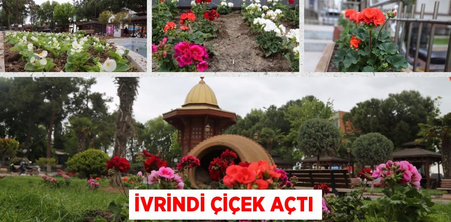 İVRİNDİ ÇİÇEK AÇTI