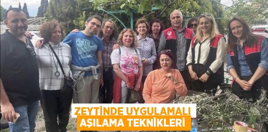 ZEYTİNDE UYGULAMALI AŞILAMA TEKNİKLERİ