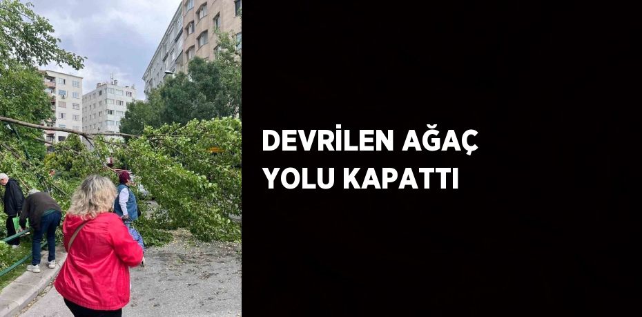 DEVRİLEN AĞAÇ YOLU KAPATTI