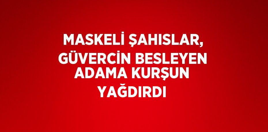 MASKELİ ŞAHISLAR, GÜVERCİN BESLEYEN ADAMA KURŞUN YAĞDIRDI