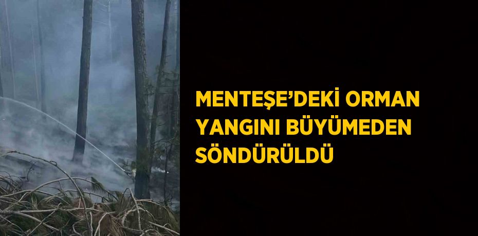 MENTEŞE’DEKİ ORMAN YANGINI BÜYÜMEDEN SÖNDÜRÜLDÜ