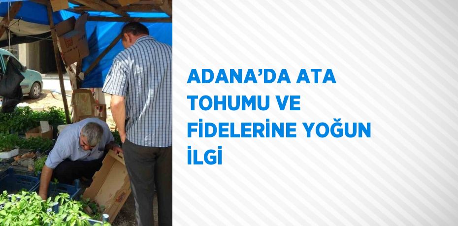 ADANA’DA ATA TOHUMU VE FİDELERİNE YOĞUN İLGİ