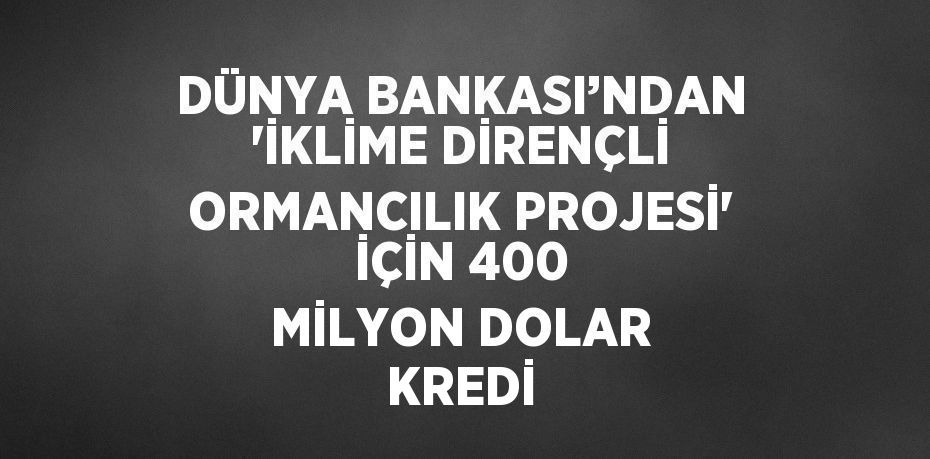 DÜNYA BANKASI’NDAN 'İKLİME DİRENÇLİ ORMANCILIK PROJESİ' İÇİN 400 MİLYON DOLAR KREDİ