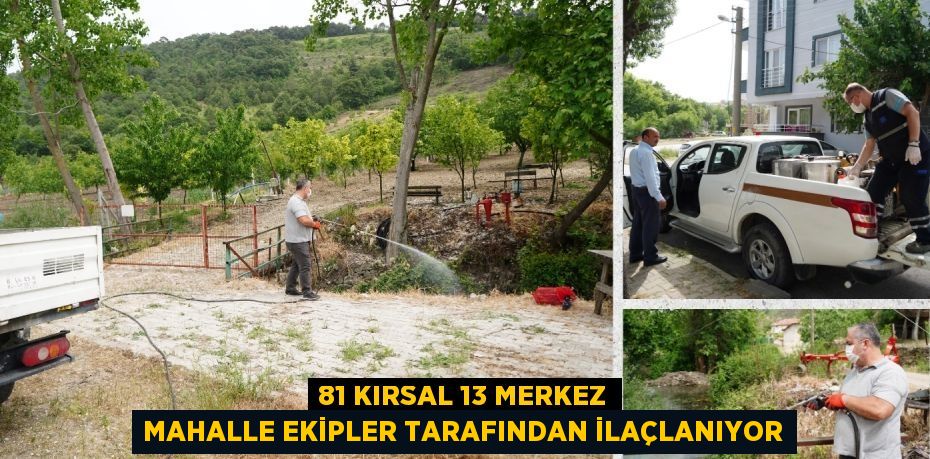 81 KIRSAL 13 MERKEZ MAHALLE EKİPLER TARAFINDAN İLAÇLANIYOR