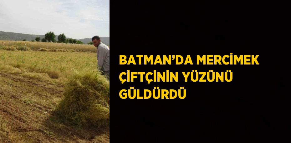 BATMAN’DA MERCİMEK ÇİFTÇİNİN YÜZÜNÜ GÜLDÜRDÜ