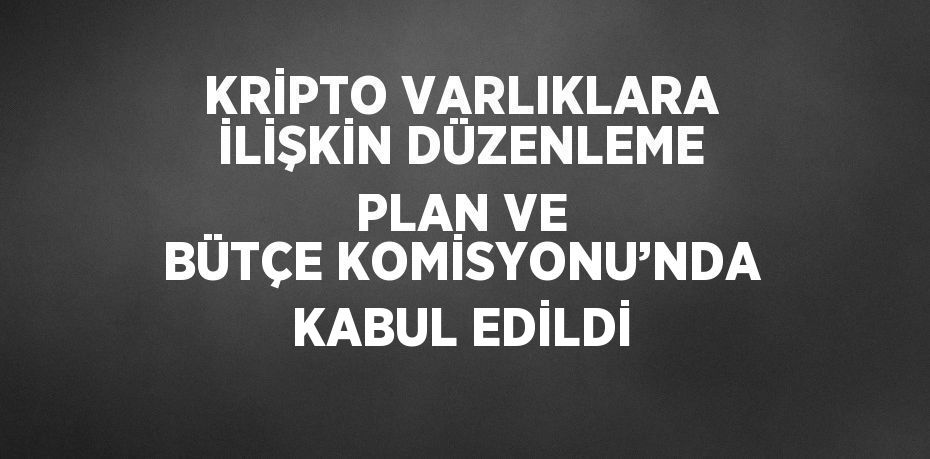 KRİPTO VARLIKLARA İLİŞKİN DÜZENLEME PLAN VE BÜTÇE KOMİSYONU’NDA KABUL EDİLDİ