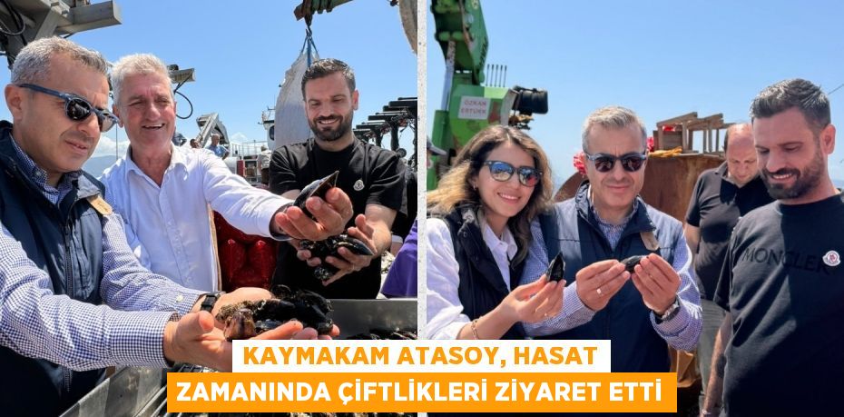 KAYMAKAM ATASOY, HASAT ZAMANINDA ÇİFTLİKLERİ ZİYARET ETTİ