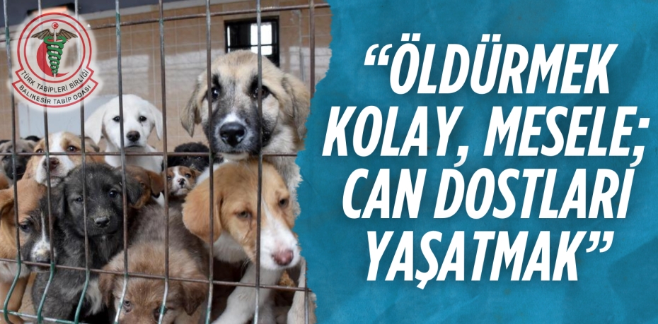 “ÖLDÜRMEK KOLAY, MESELE; CAN DOSTLARI YAŞATMAK”