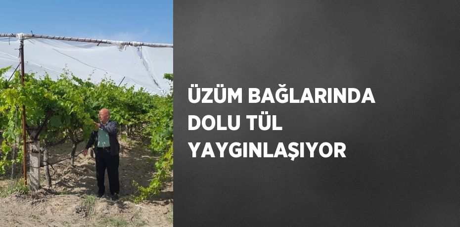 ÜZÜM BAĞLARINDA DOLU TÜL YAYGINLAŞIYOR