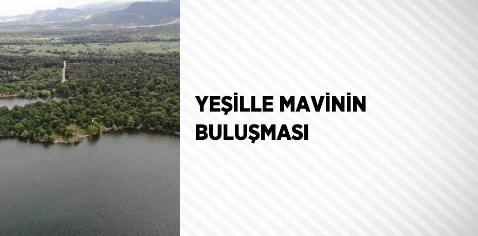 YEŞİLLE MAVİNİN BULUŞMASI