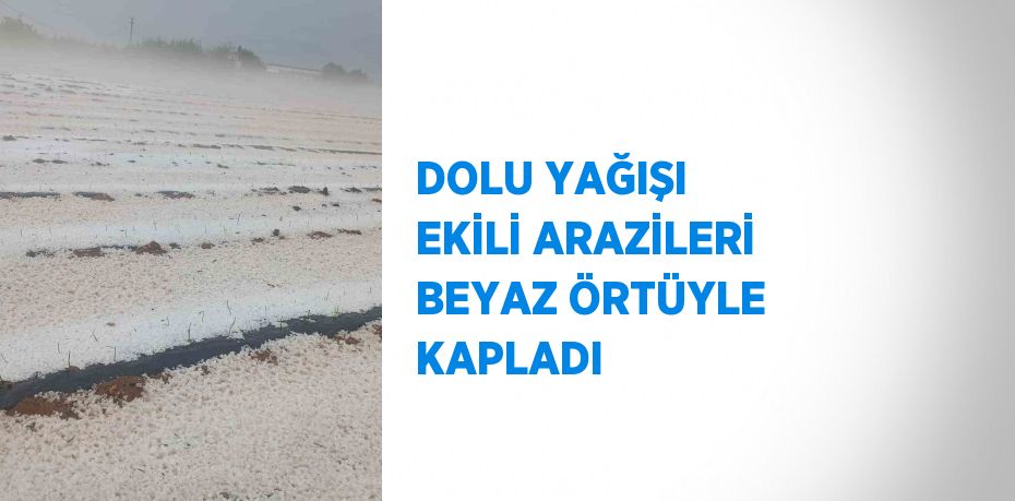 DOLU YAĞIŞI EKİLİ ARAZİLERİ BEYAZ ÖRTÜYLE KAPLADI