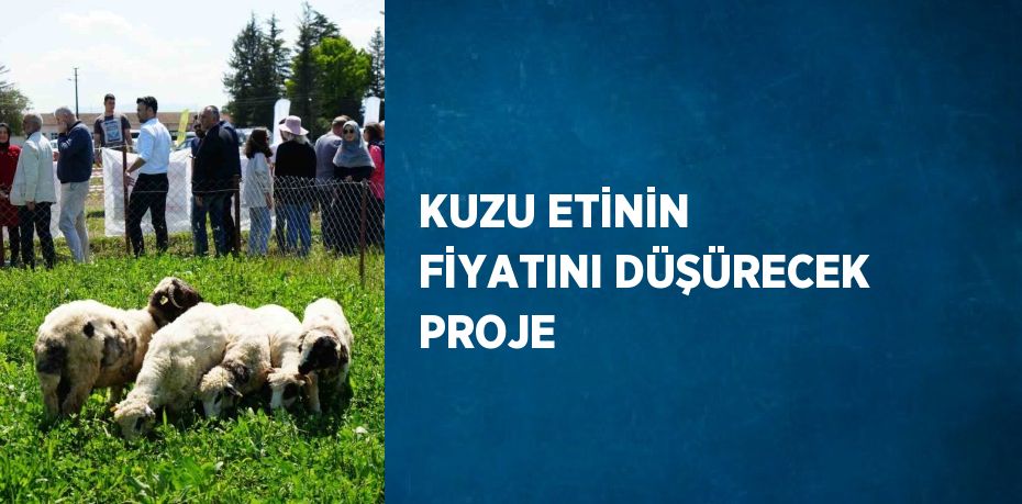 KUZU ETİNİN FİYATINI DÜŞÜRECEK PROJE