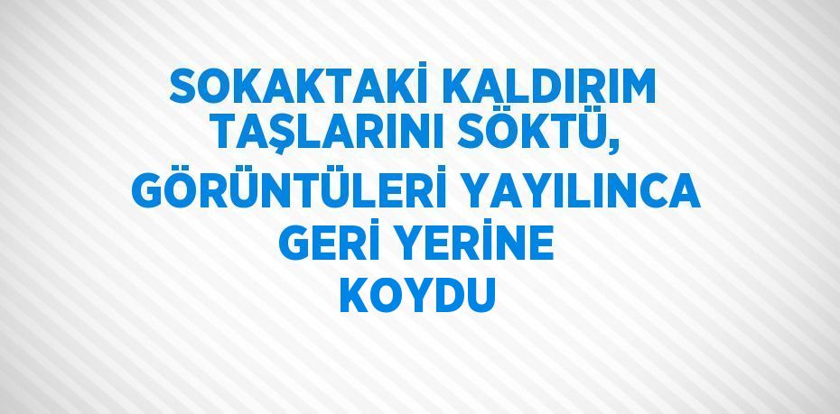 SOKAKTAKİ KALDIRIM TAŞLARINI SÖKTÜ, GÖRÜNTÜLERİ YAYILINCA GERİ YERİNE KOYDU