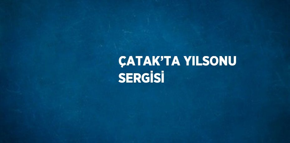 ÇATAK’TA YILSONU SERGİSİ